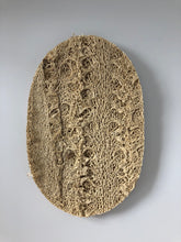 Load image into Gallery viewer, Compostable Loofah Dishwashing Sponge x 2