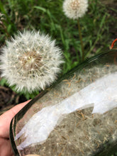 Load image into Gallery viewer, Wild Irish Dandelion Honey (NEW)