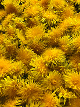 Load image into Gallery viewer, Wild Irish Dandelion Honey (NEW)