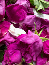 Load image into Gallery viewer, Wild Irish Rose