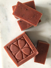 Load image into Gallery viewer, Wild Irish Rowan Berries