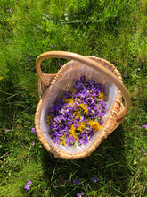 Load image into Gallery viewer, Wild Irish Violet & Daisy (NEW)