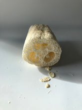 Load image into Gallery viewer, Loofah Body Scrub Sponge