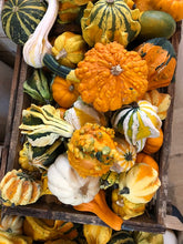 Load image into Gallery viewer, Pumpkin & Sweet Potato