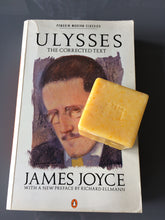 Load image into Gallery viewer, Mr. Bloom's Lemon