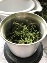 Load image into Gallery viewer, Nettle & Horsetail Shampoo Bar - Normal to Oily Hair