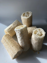 Load image into Gallery viewer, Loofah Body Scrub Sponge