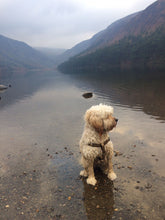 Load image into Gallery viewer, Doggie Shampoo Bar Pouch