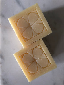 Coconut Dishwashing Cube Soap