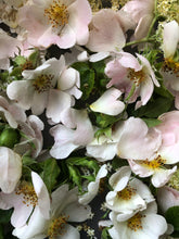 Load image into Gallery viewer, Self-Love | Wild Rose Infused Mineral Bath Salts
