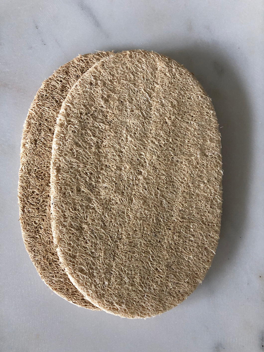 Compostable Loofah Dishwashing Sponge x 2