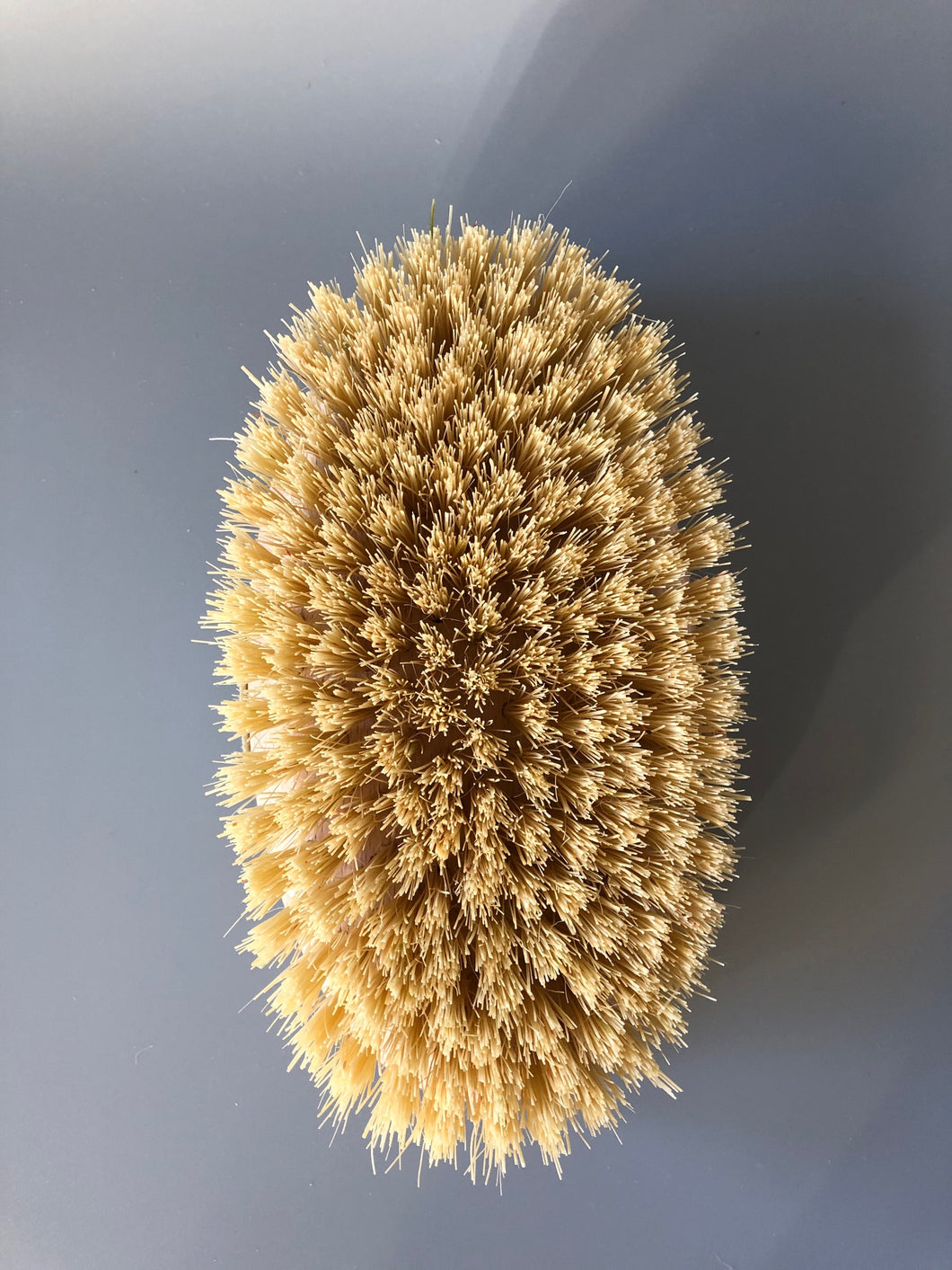 Dry Massage Body Brush