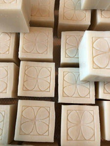 Coconut Dishwashing Cube Soap