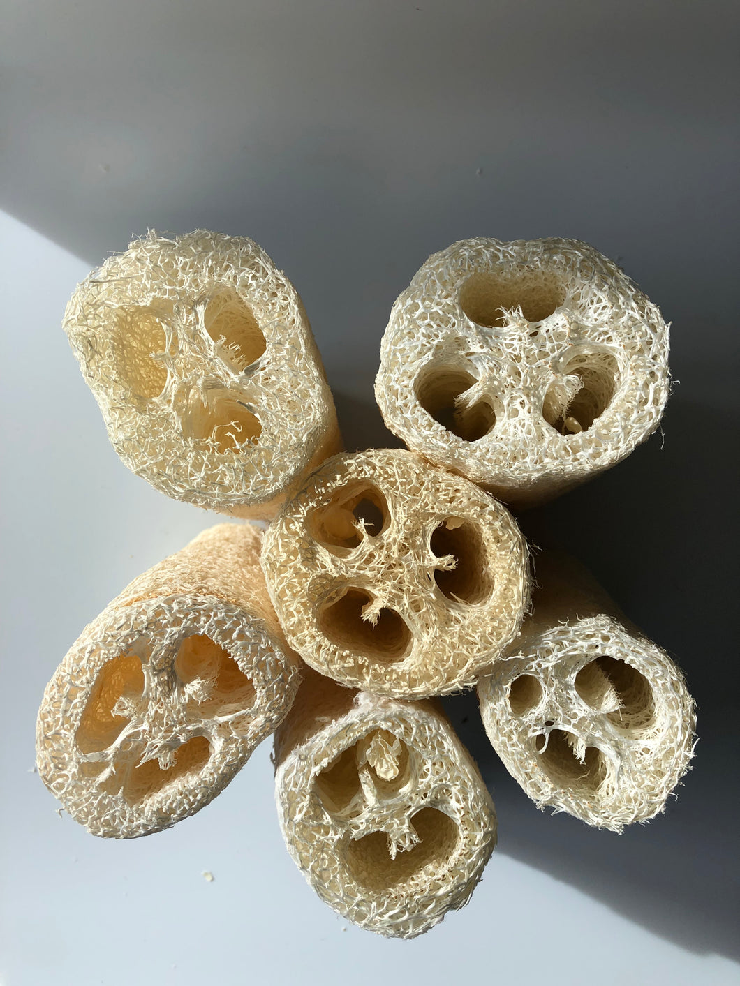 Loofah Body Scrub Sponge